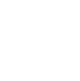 icon-Speed